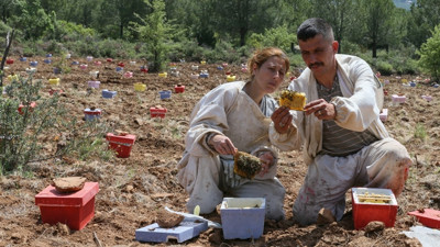 Devlet desteği arıcı çifti ihya etti! Yılda 300 bin lira gelir