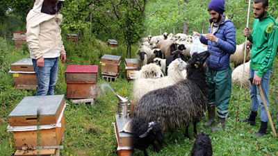 Genç çiftçiler hayallerine devlet desteğiyle kavuşuyor