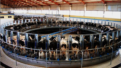 Ev kadını, devlet desteğiyle modern çiftlik sahibi oldu