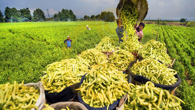 "55 üründe dünyada ilk 10 sıradayız"