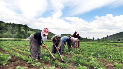 İsrail Türkiye'den tarım ürünü ithalatını dondurdu