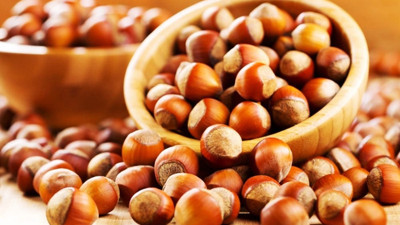 İtalyan çikolata devinden Türk fındığına övgü