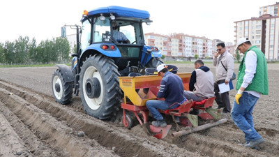 Yerli patates tohumu ıslah çalışmaları