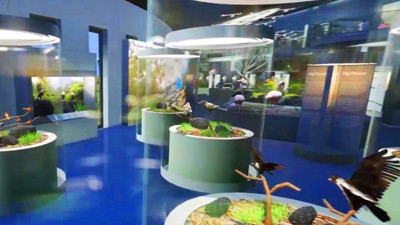 Çukurovanın biyolojik zenginliği müzede sergilenecek