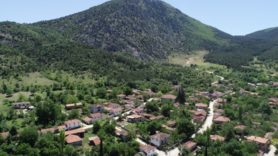 Evlerini bıraktılar tohumlarını bırakmadılar