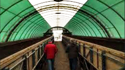 Hibe ile kurulan işletmeler istihdam kapısı oldu