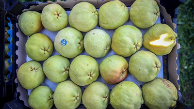 Depolarda kalan son armudu da Rusya çekti