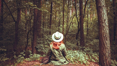 Bakan Eroğlu'ndan Bolu'ya Terapi Ormanı kurulması talimatı