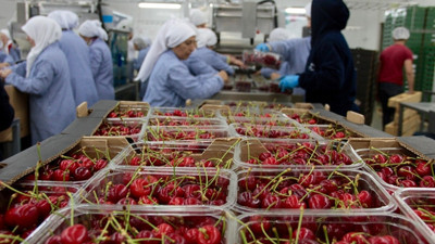 Yaş meyve sebze ihracatına Rusya dopingi