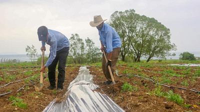Tarımda istihdam martta 5 milyonu aştı