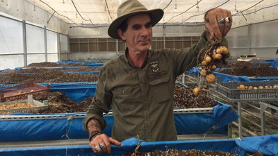 Önce arz-talep dengesizliği şimdi hastalık vurdu, patatesin tadı kaçtı
