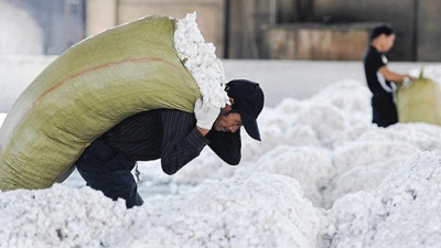 Çin pamuk ithalatını 3'e katlamaya hazırlanıyor