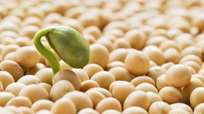 Avrupa Adalet Divanı'ndan "GDO" kararı