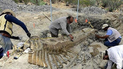 Çin'de 174 milyon yıllık dinozor fosili bulundu