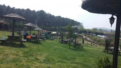 4 ildeki bazı alanlar orman sınırı dışına çıkarıldı