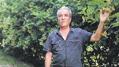 Akkışla’daki gilaburu üreticileri işleme tesisi istiyor