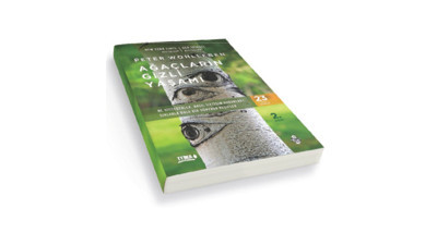 ağır giden kazanır!