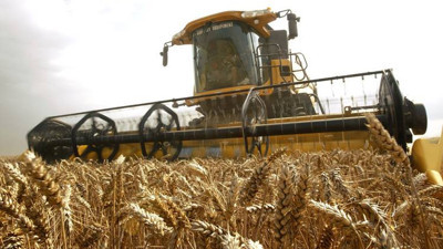 Buğdayda kriz alarmı!