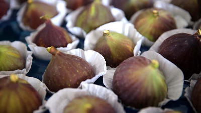 Fiyatı 12 liraya çıktı, telefonlar sustu