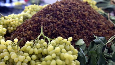 Kuru üzümde Okratoksin alarmı