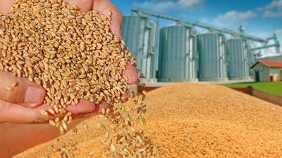 TMO'ya sıfır gümrükle tahıl ithalatı yetkisi