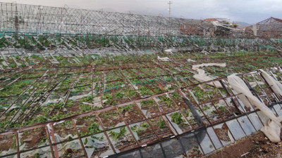 Antalya'da bin dönümün üzerinde serada hasar var