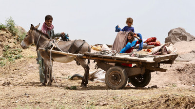 Pakistan, Çin'e eşek satacak
