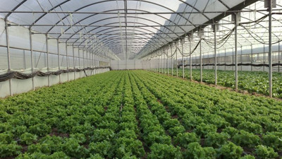 Seracılığa yeni destek paketi