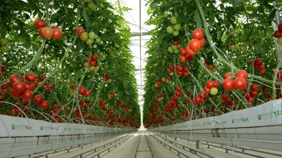 Seracılık yeni kredi paketi açıklandı