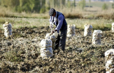 Kırsaldaki girişimciye Avrupa'dan fon