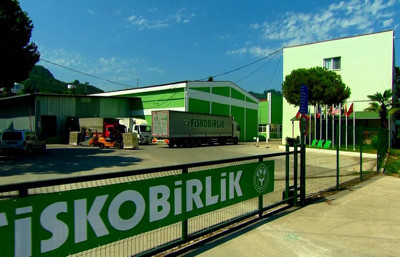 FİSKOBİRLİK fındık alımına 11 Ağustos'ta başlayacak