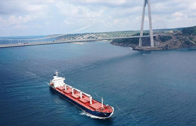 Bitkisel yağlar için yeni düzenleme