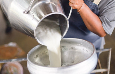 TÜSEDAD: Çiğ sütün litre fiyatı en az z 21 TL olmalı
