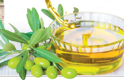 Zeytinde rekolte bu yıl beklenenin altında