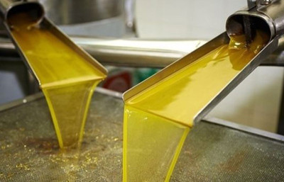 Zeytinyağında 10 bin dolarlık tarihi zirve korkusu