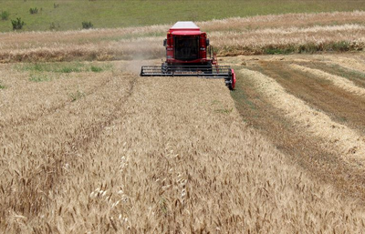 TMO’nun fiyatı, serbest piyasayı da geriletti