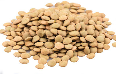 Yeşil mercimekte yerel üreticiyle güç birliği