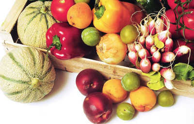 “İklim krizine karşı ürün desenini değiştirmek zorundayız”