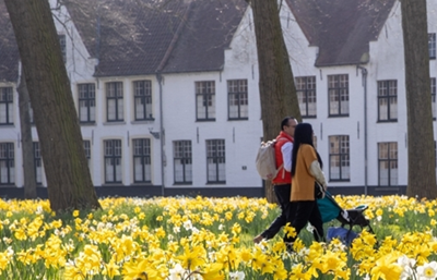 Brugge için 'aşırı turizmle mücadele' yasakları geliyor