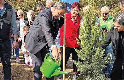 Beş yılda 2.2 milyon fidan dikilecek