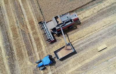 Türkiye'nin 10 aylık hububat ve bakliyat ihracatı 9,7 milyar dolara ulaştı