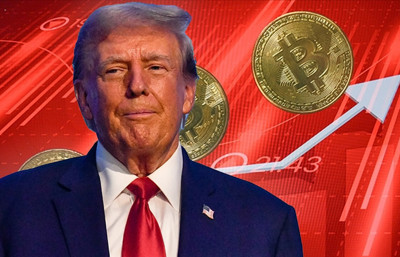 Bitcoin spot ETF’lerinde rekor sermaye akışı