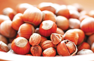 Türkiye fındık ihracatından 1,3 milyar dolar gelir sağladı