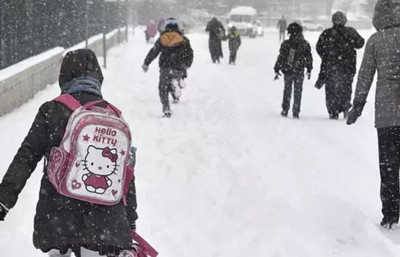 Artvin'de okullar tatil mi, valilikten açıklama geldi