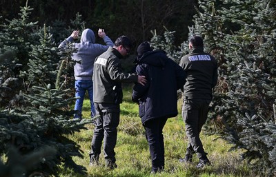 Orman Bölge Müdürlüğü Ekipleri'nden 'yılbaşı ağacı nöbeti'