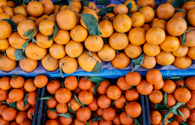 Türkiye'nin 1,46 milyar dolarlık 2024 narenciye ihracatında 3 il dikkat çekti