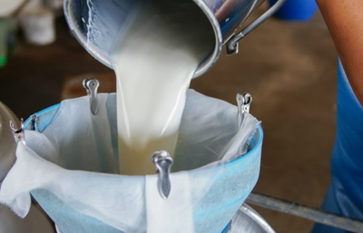 Çiğ süt fiyatına zam yapıldı