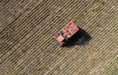 Türkiye, tarımsal hasılada Avrupa'da lider konumda