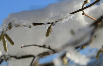 Tarım üreticilerine "zirai don" uyarısı