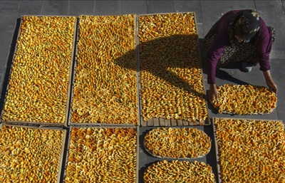 MTSO Başkanı Sadıkoğlu'ndan çağrı: "Malatya afet bölgesi ilan edilmeli"